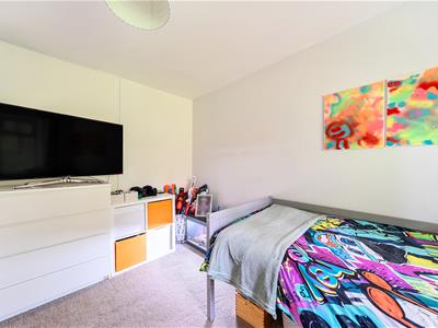 Picture 13